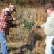 Hess Farm Tree Planting