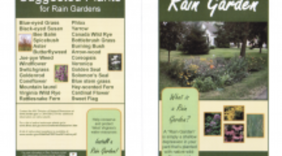 Build your own rain garden! Click here for a step-by-step guide.