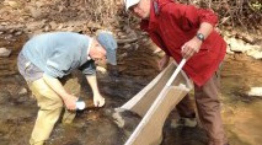 Stream Survey Results for Sleepy Creek at Creek Rd. 8-29-15