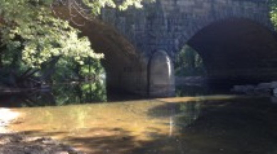 Stream Survey results for Sleepy creek at Burnt Mill Bridge 7-31-15