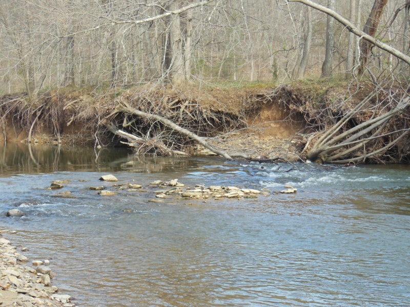 The stream was surveyed on foot and by kayak, between May 17 and June 23, 2005, to pinpoint critical areas of bank erosion.